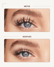 Separador de Pestañas